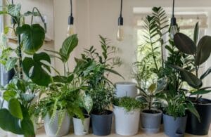 Duurzame keuken kiezen: energiezuinig & stijlvol inrichten