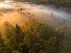 Dynamische energietarieven zonnepanelen: maximaal besparen met slim energiebeheer