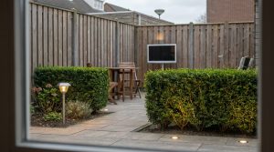 Tuinverlichting verduurzamen: zonne-energie of LED-spots op netspanning?